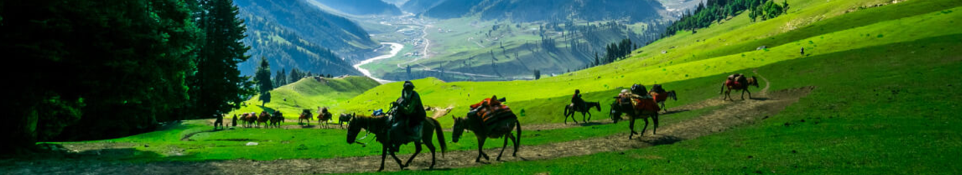 Kashmir Package 05N/06D