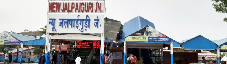 Best Travel Agency in Siliguri