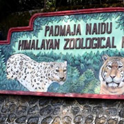 Padmaja Naidu Himalayan Zoological Park